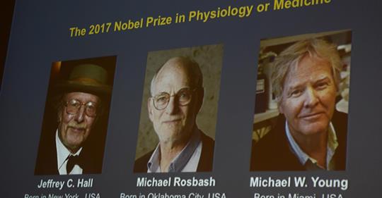Nobel de médecine sur l’horloge biologique