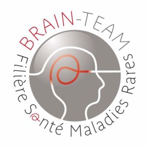 Brain-team